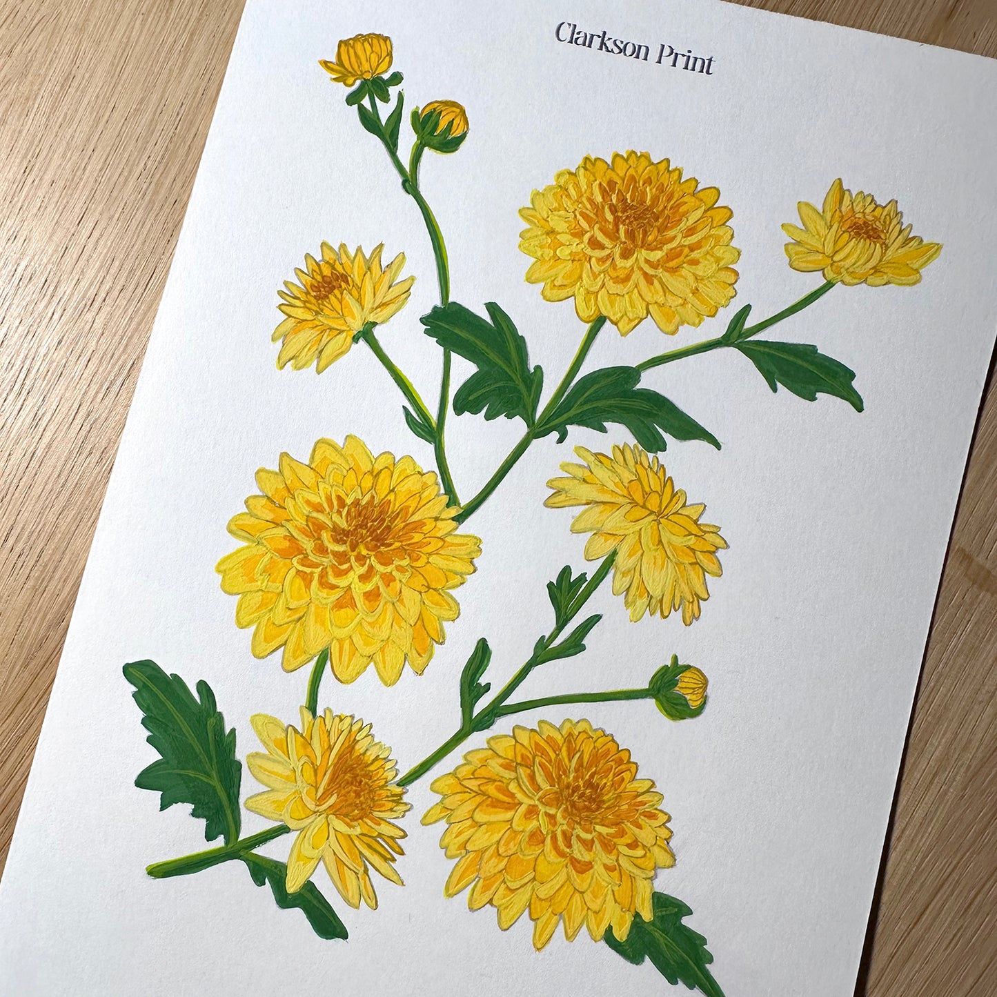 Coloring Club Monthly Subscription