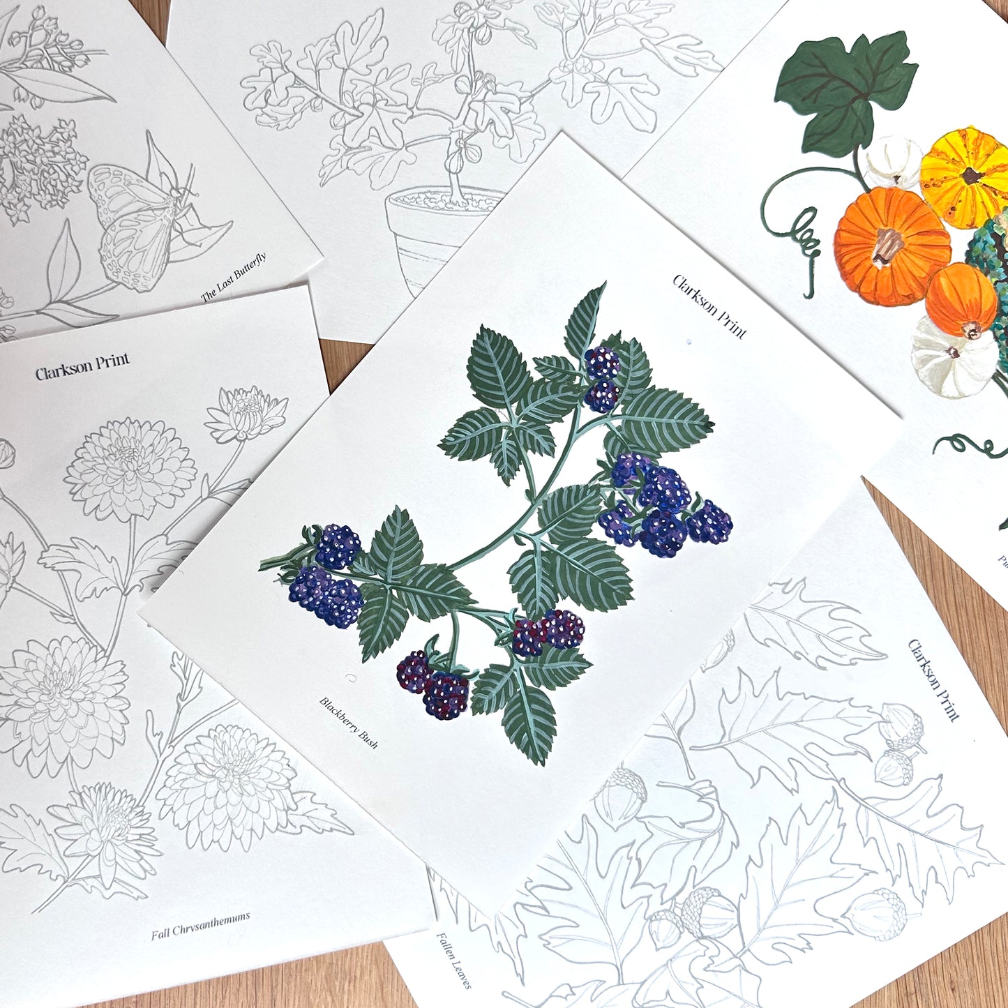 Fall Things - 6 Piece Colouring Page Set