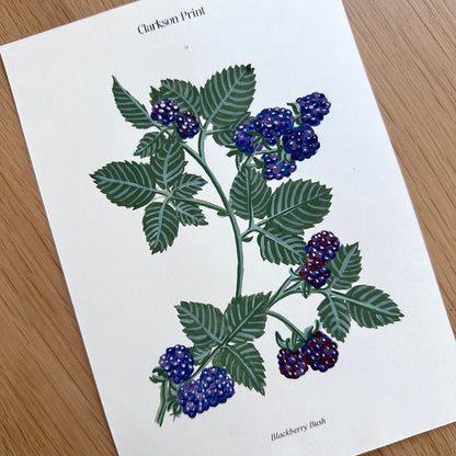 Fall Things - 6 Piece Colouring Page Set