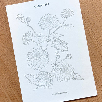 Fall Things - 6 Piece Colouring Page Set