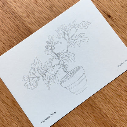 Fall Things - 6 Piece Colouring Page Set