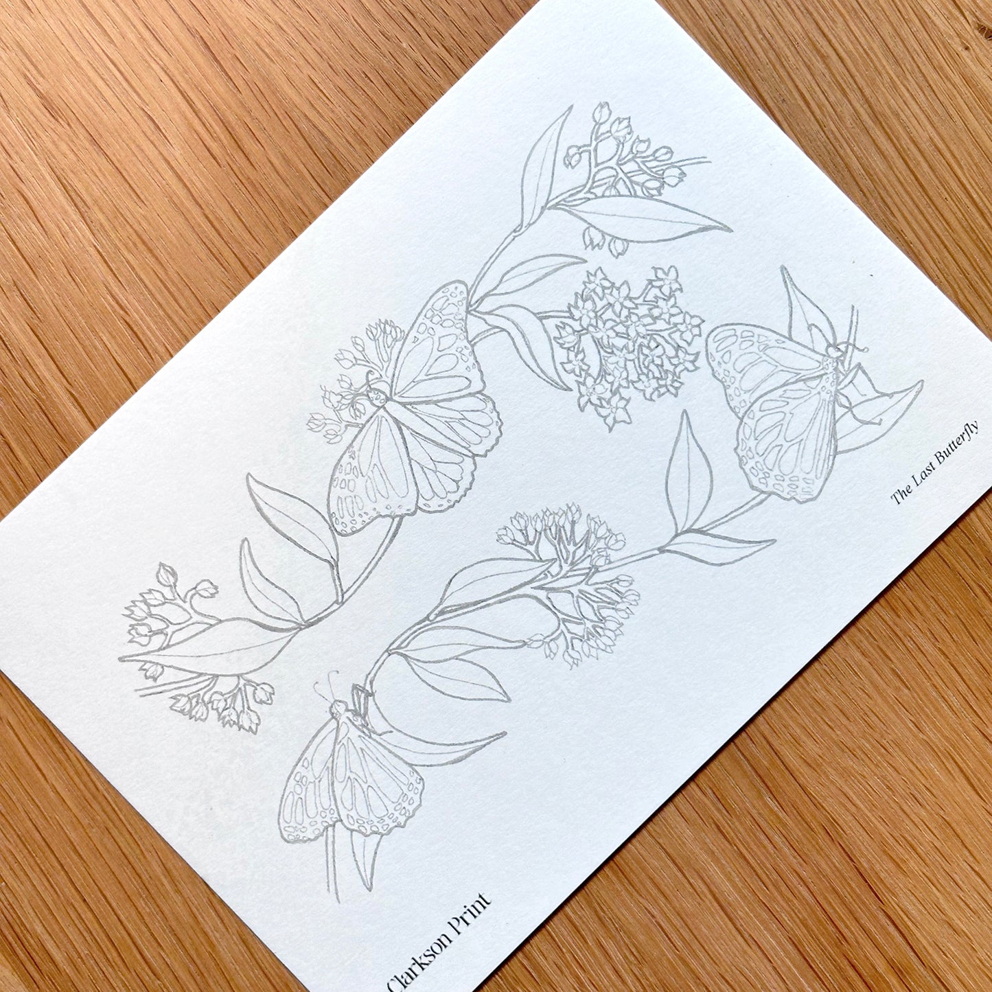 Fall Things - 6 Piece Colouring Page Set