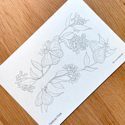 Fall Things - 6 Piece Colouring Page Set